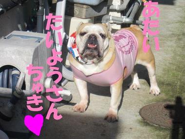 気が付いたこと