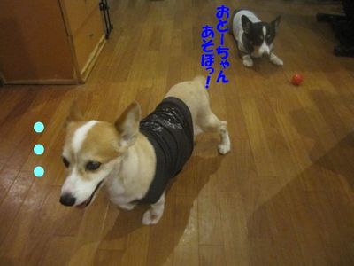 お帰り次郎v(*-^*)ゞ・ﾟ☆ﾌﾞｲ