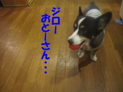 お帰り次郎v(*-^*)ゞ・ﾟ☆ﾌﾞｲ