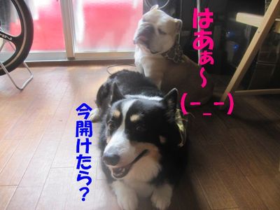 ママを目で操るのは