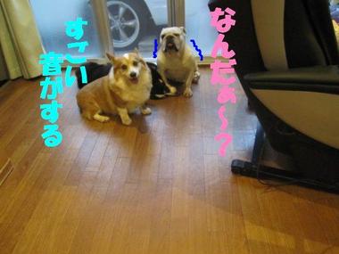 お別れ近い？