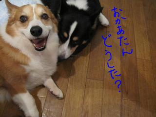 おんなのこなのに・・・