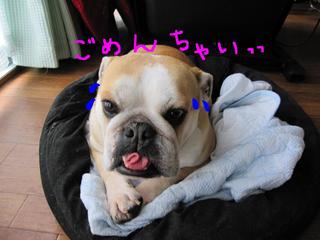 おんなのこなのに・・・