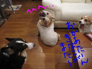 おんなのこなのに・・・