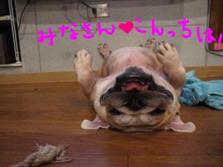おんなのこなのに・・・