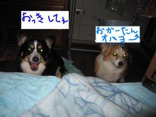 事件です！