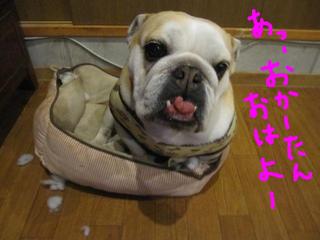 事件です！