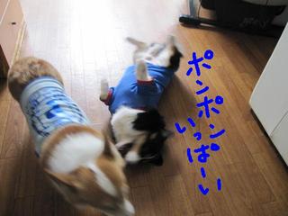 事件です！