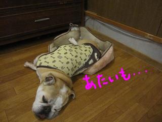 事件です！