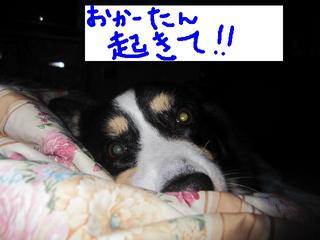 事件です！