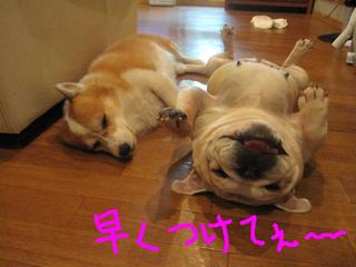 自由気ままに・・・