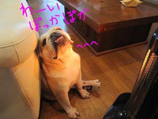 自由気ままに・・・
