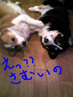 自由気ままに・・・