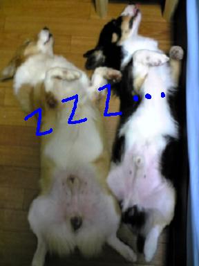 自由気ままに・・・