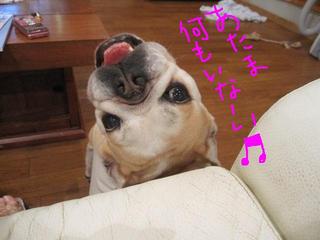 怒らないでぇ