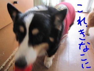 気遣い