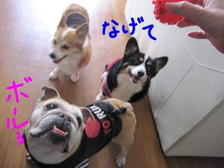気遣い