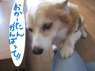 気遣い