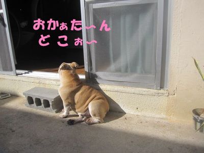 やめてぇ～。(￣∇￣;)ｶﾞｰﾝ