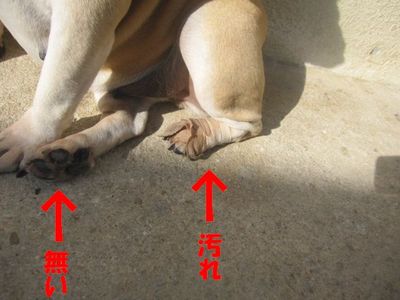 やめてぇ～。(￣∇￣;)ｶﾞｰﾝ