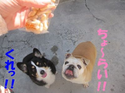 やめてぇ～。(￣∇￣;)ｶﾞｰﾝ