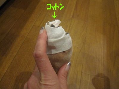 やめてぇ～。(￣∇￣;)ｶﾞｰﾝ