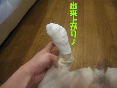 やめてぇ～。(￣∇￣;)ｶﾞｰﾝ