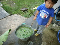 ミントのお酒？ 2007/04/17 07:03:54