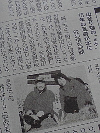 山登りねこ!?