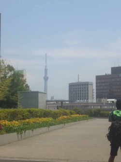 スカイツリーとワタシ。