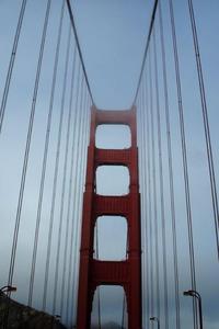 Sightseeing in San Francisco  