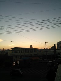 春かも。 2014/01/31 17:52:00
