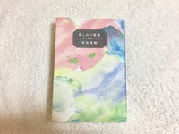 悲しみの秘義 2017/06/05 22:45:55