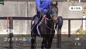 明日8/18は未勝利戦