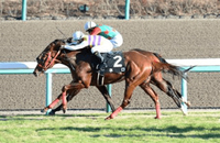 秋競馬ワクワク
