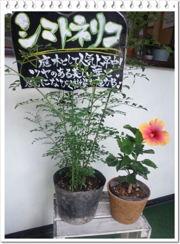 ふるさと逸品応援団