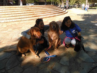 ハワイ旅行 ハワイ滞在６日目 カピオラニ公園で犬と戯れました 沖縄県在住中井家のブログ