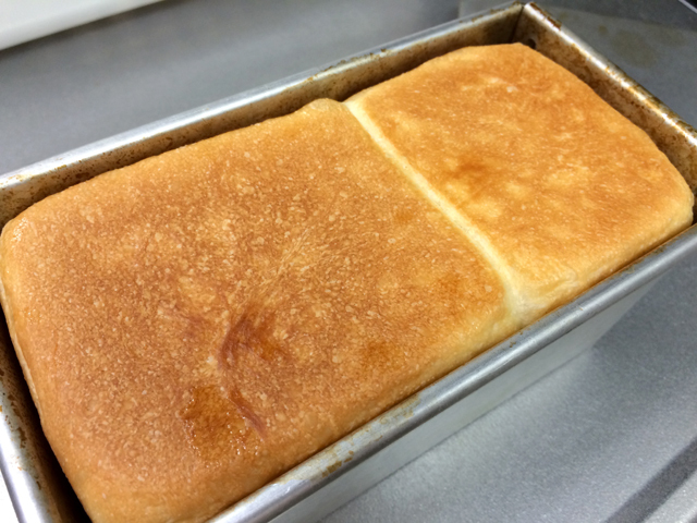 アルタイト食パン型