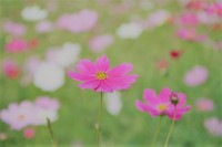 10月のお休み◇まつげエクステNana◇ 2017/09/29 14:43:49