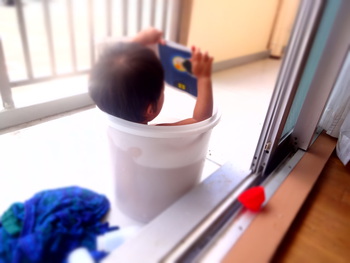 7月31日の記事