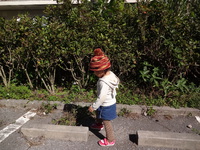 被ってみました
