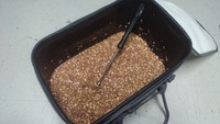 チヌ狙い 2016/04/03 11:41:05