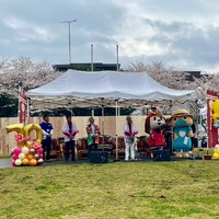 今年も桜まつりに参加したなん！