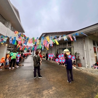 部屋を泳ぐこいのぼりだなん！