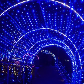♪Xmas♪