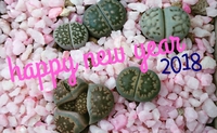 ♪happy new year♪ 2018/01/04 20:31:52