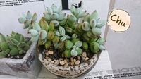 ♪6月突入(；・ω・) 2017/06/01 18:38:56