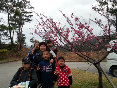 学芸会＆桜まつり