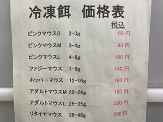 冷凍マウス　安いはず