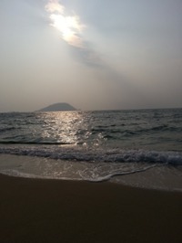 海